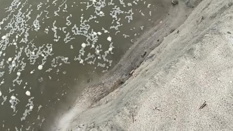 Man Falls Down Sandy Drop Off