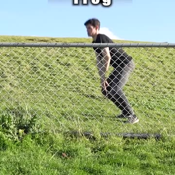 How Animals Get Over a Fence