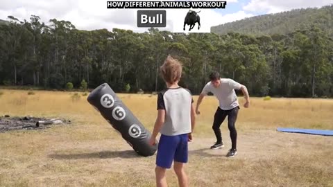 Funny videos