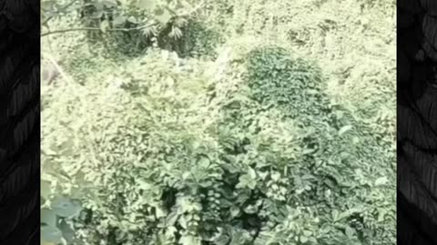 😱📹 The Creepiest Paranormal Footage I've Ever Seen! | TheHauntingHour