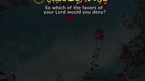 Surah Ar-Rahman Ayat 29–32 | Allah’s Constant Decree & Reminder to Mankind & Jinn | Al Qamar Product