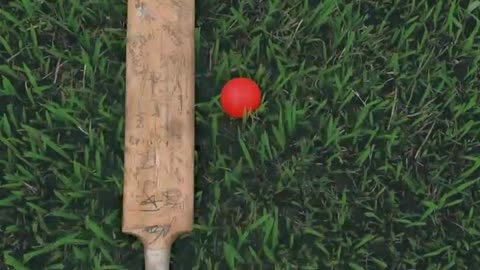 Top 5 Slowest Bowling Speeds Ever Recorded in IPL History 🐢🎯