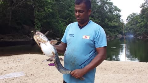 fish