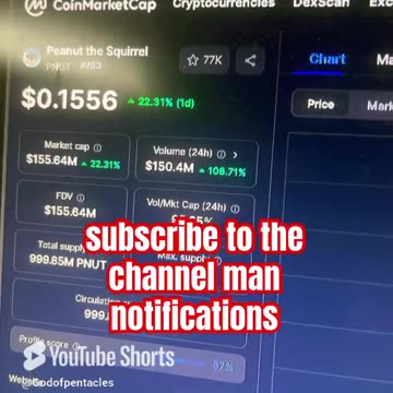 peanut the squirrel pnut crypto bitcoin price prediction btc #fyp