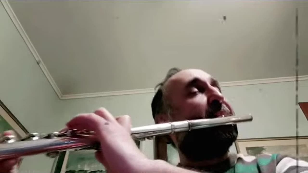 Saint-Saëns - The Swan