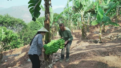 A collection of Yunnan fruits documented before