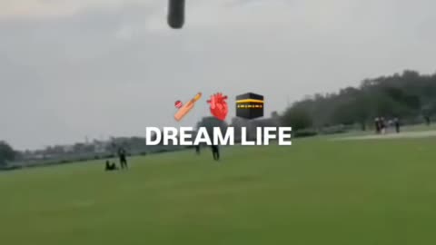 Cricket