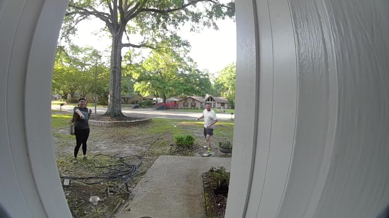 Husband Steps On Unseen Rat Snake