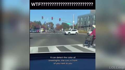 Top Funny Videos 2025 😁 You’ll Laugh Instantly!