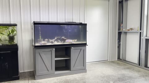 Water change day