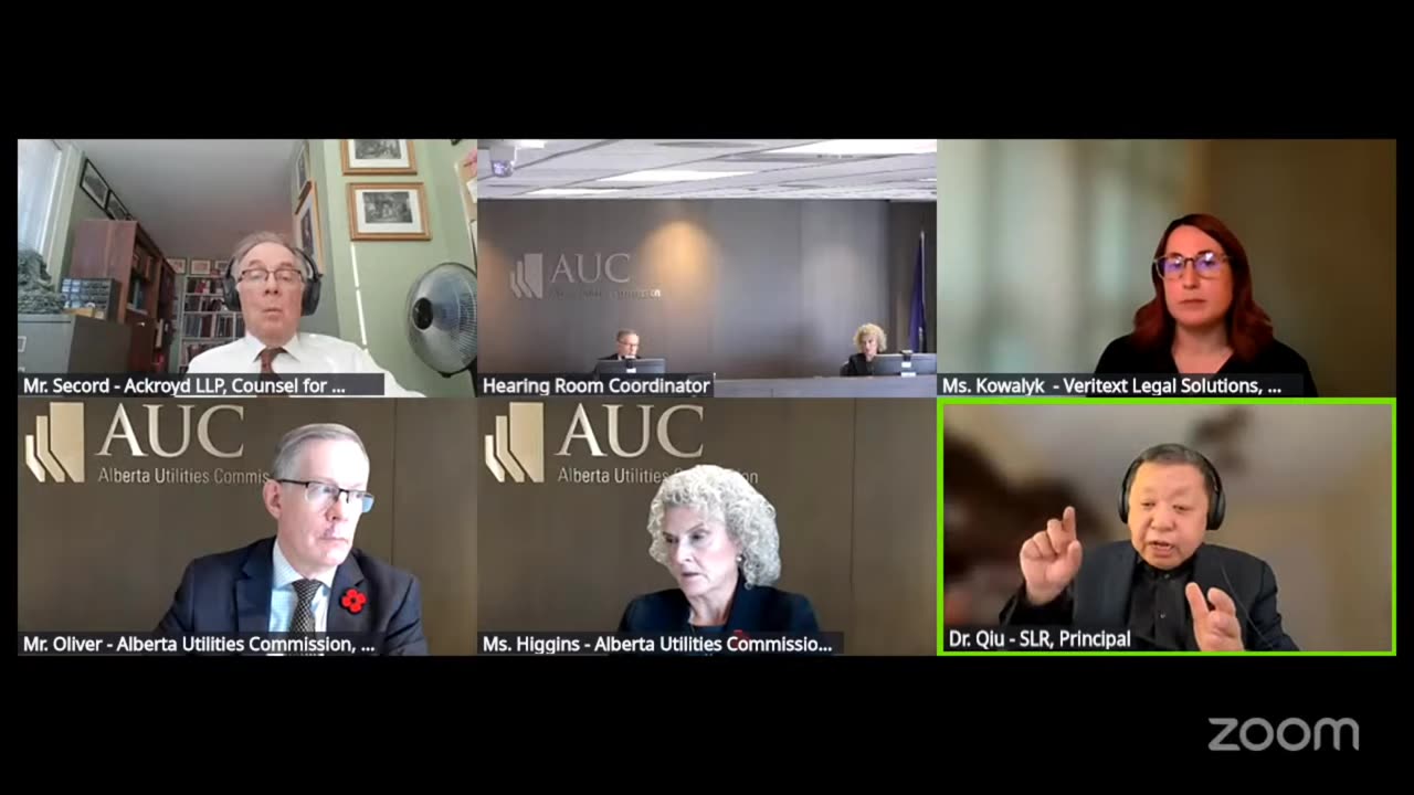 AUC Proceeding #29252 Red Willow Solar + Storage Day 3 part 4