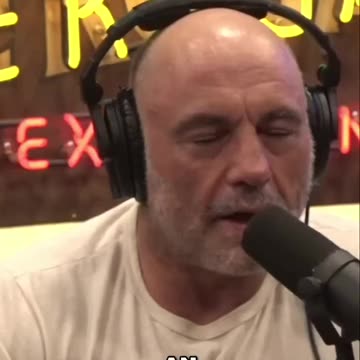 The Liberal hivemind is drenched in ignorance, confusion and delusion