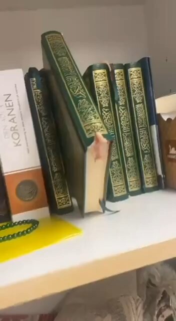 Swedish universities are reporting a sharp increase in the amount of