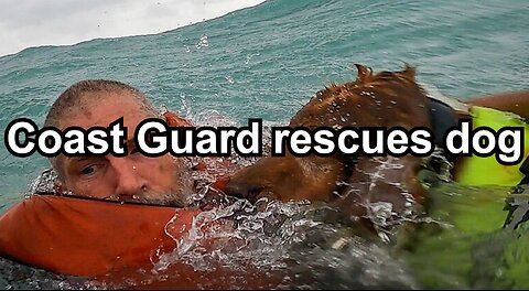 Coast Guard rescues dog