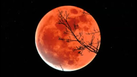 When Will November's Super Beaver Full Moon Occur?