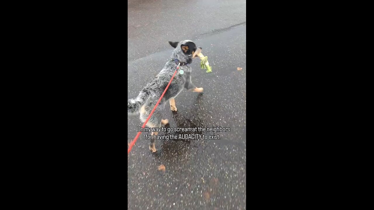 how dare they!