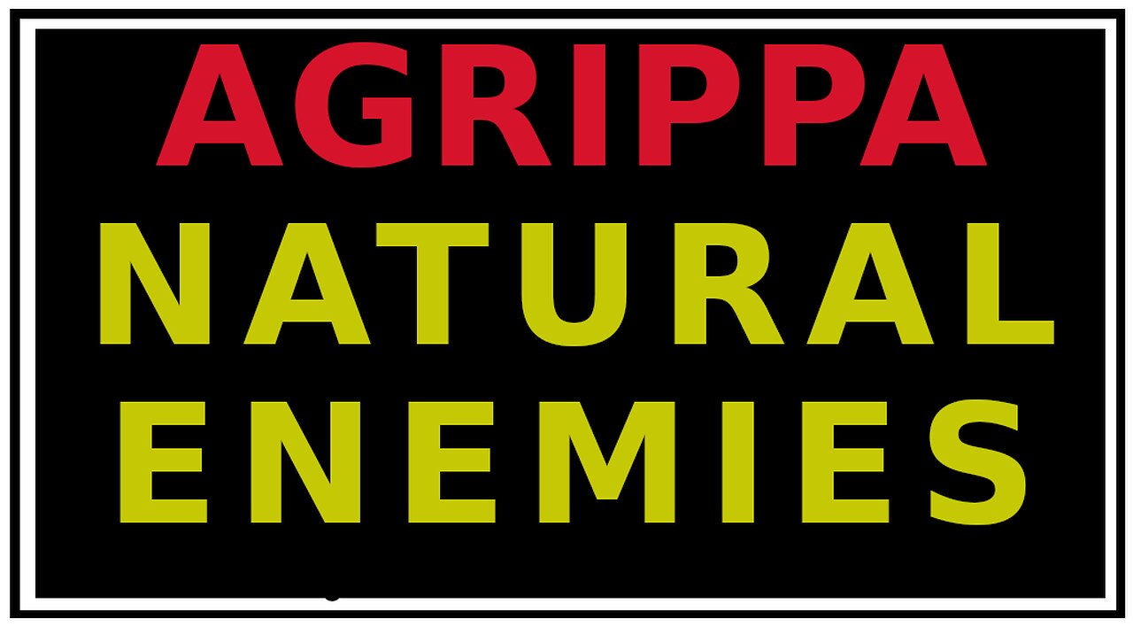 The Enmities of Things Agrippa's Three Books of Occult Philosophy