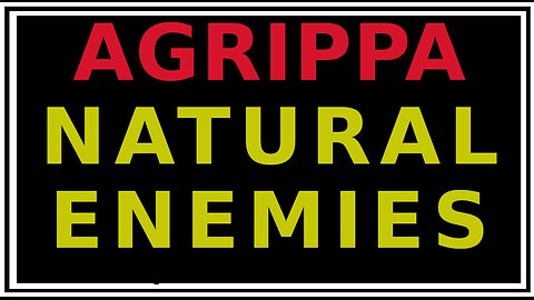 The Enmities of Things Agrippa's Three Books of Occult Philosophy
