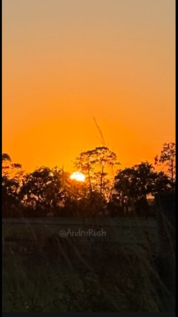 I Took A Picture of Tonight’s God’s Sunset! ❤️