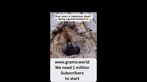 https://www.gramo.world/ We need 1 million subscribers to start