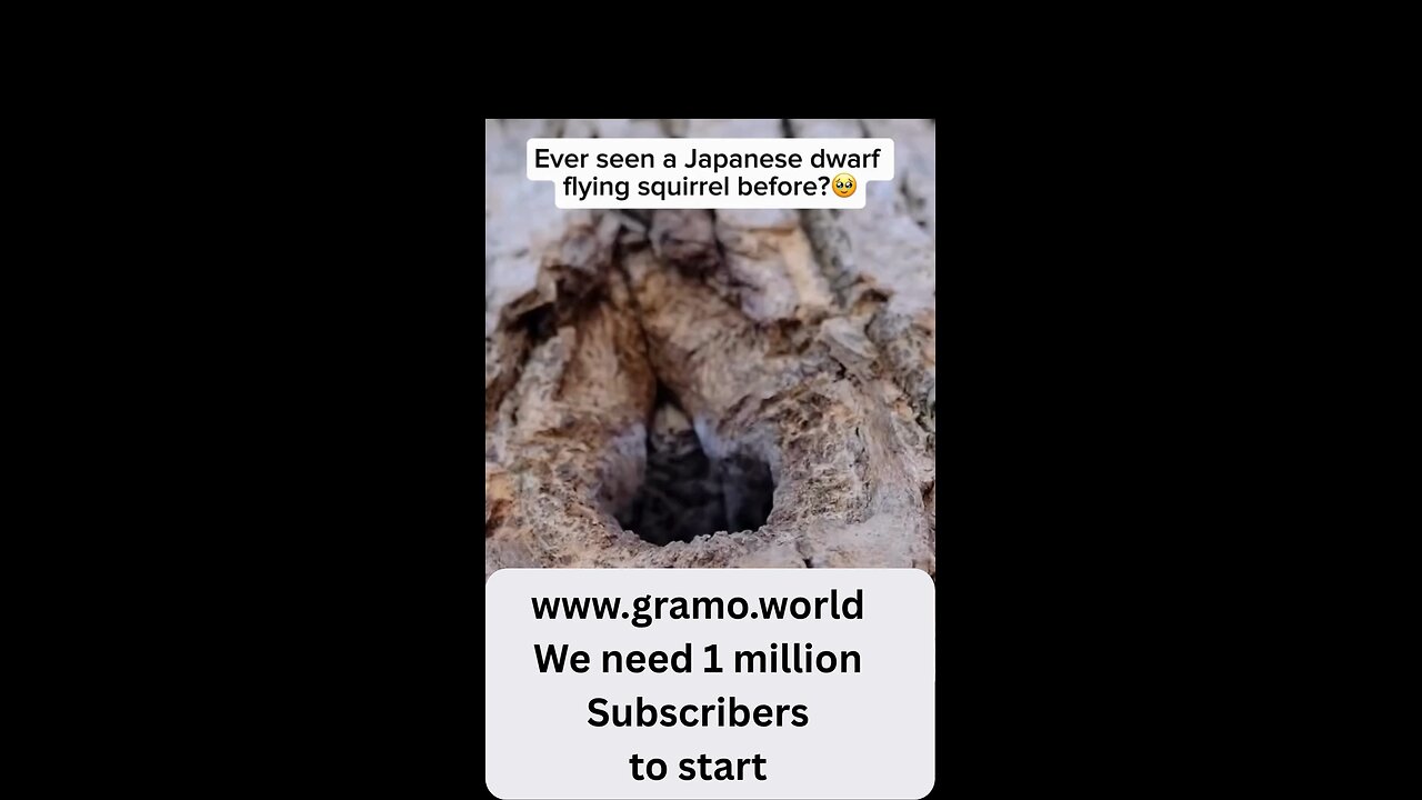 https://www.gramo.world/ We need 1 million subscribers to start