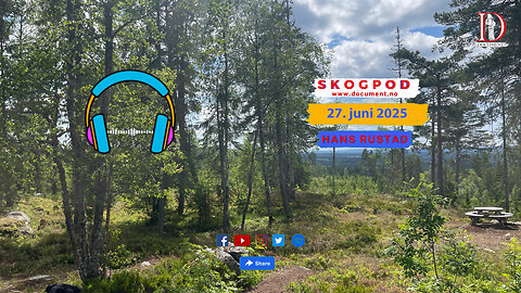 Skogpod 27. juni 2025