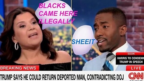 #CNN host FORCED to CUT TO COMMERCIAL panel devolves into #RACE #WAR #deportation of #illegals