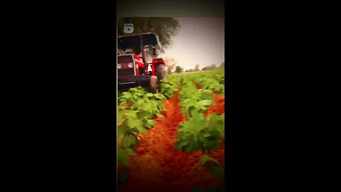 farmer life