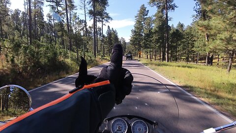 Custer State Park Riding! (South Dakota)