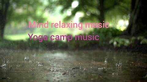Meditation & Mindfulness Meditation & Mindfulness meditation & mindfulness music