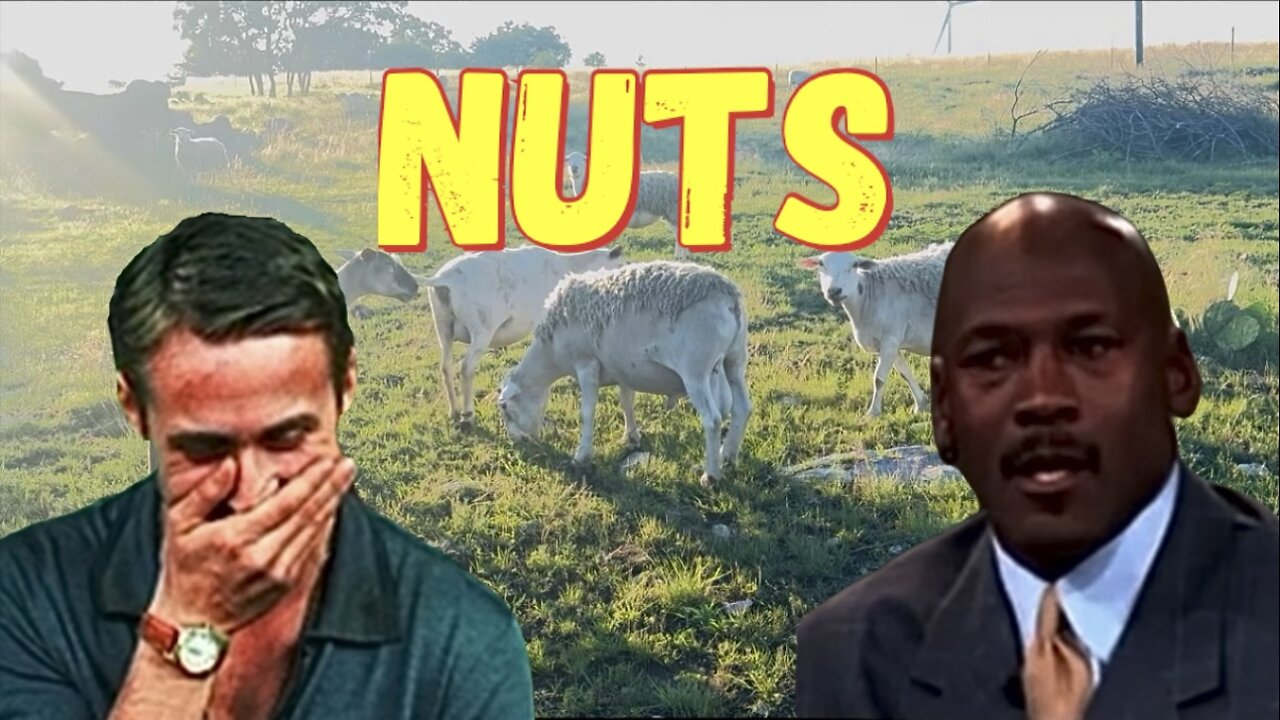 Nuts