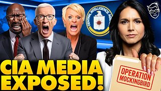 I Asked DNI Tulsi Gabbard About The CIA's 'Operation Mockingbird' Her Honest Answer SHOCKS Internet…