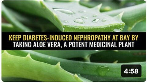 Combat Diabetes-Induced Nephropathy with Aloe Vera, a Powerful Medicinal Plant