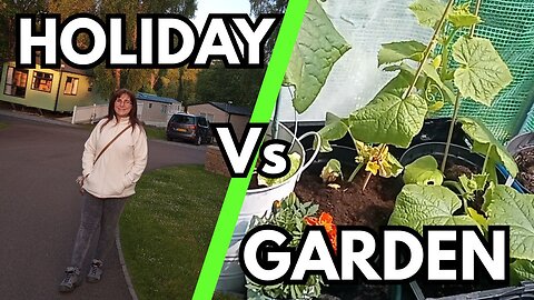 4. Holiday Vs Garden - How to make sure your plants survive your vacation!