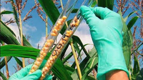 "Exploring the Future of Food: Trends, Technology and Sustainability"