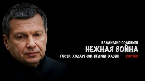 Нежная война | Владимир Соловьев
