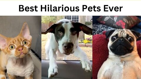 Ready for a laugh you didn’t know you needed? 😂