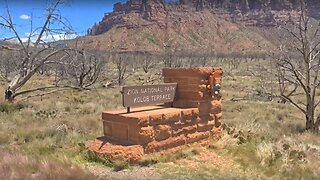 Zion National Park Adventure