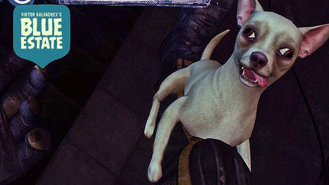 Don't Play With Chihuahua Pheromones! Blue Estate Part 2