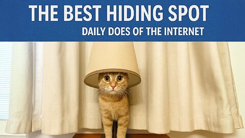 The Best Hiding Spot - Daily Does of The Internet