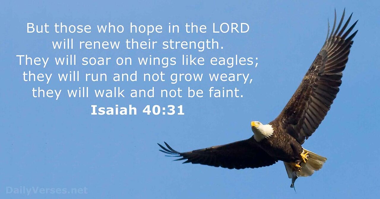 Revelations with Watchman44 -"But They That Wait Upon the Lord Shall Renew Their Strength" 4/14/25