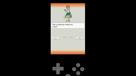 Pokemon Hoenn White 2