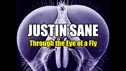 Justin Sane - Through the Eye of a Fly