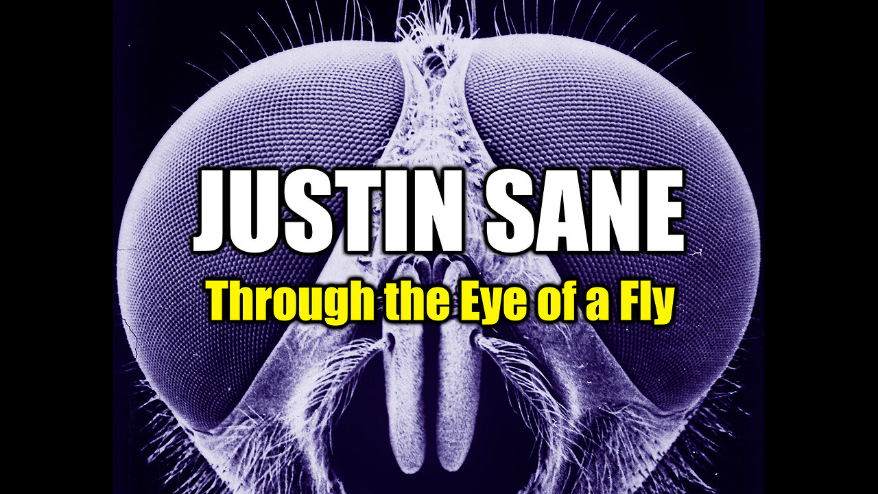 Justin Sane - Through the Eye of a Fly