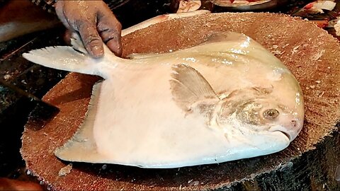 Amazing Fish cutting skill 08| you must watch