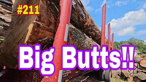 Buying And Selling High Value Timber And What I Have Learned About This Industry ‼️