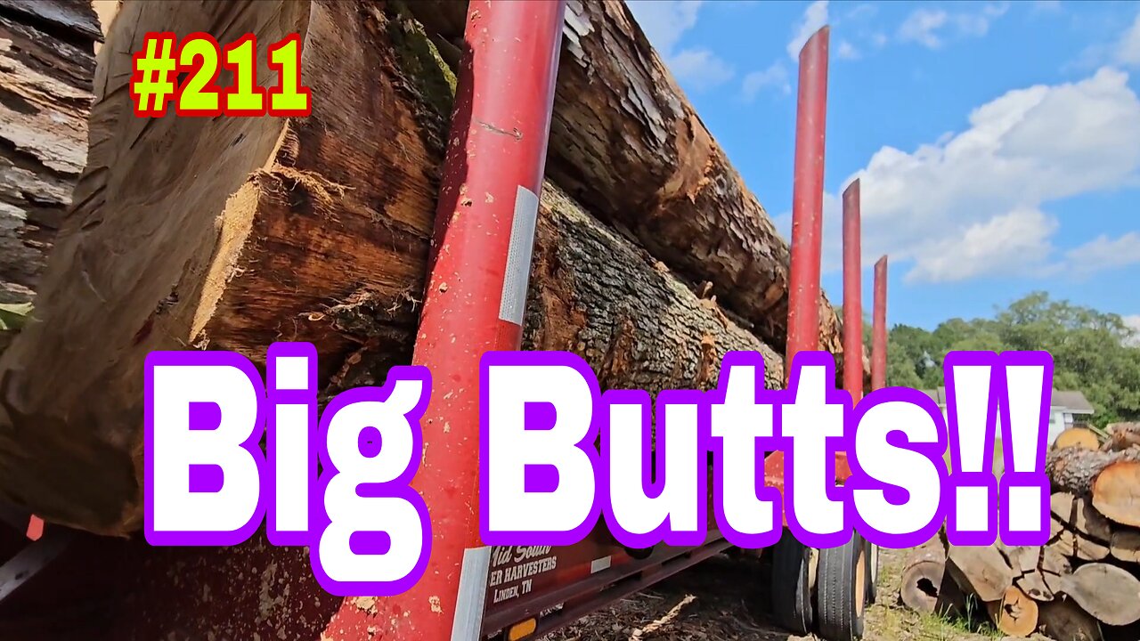 Buying And Selling High Value Timber And What I Have Learned About This Industry ‼️