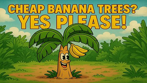 Cheap Banana Trees!? Yes Please!