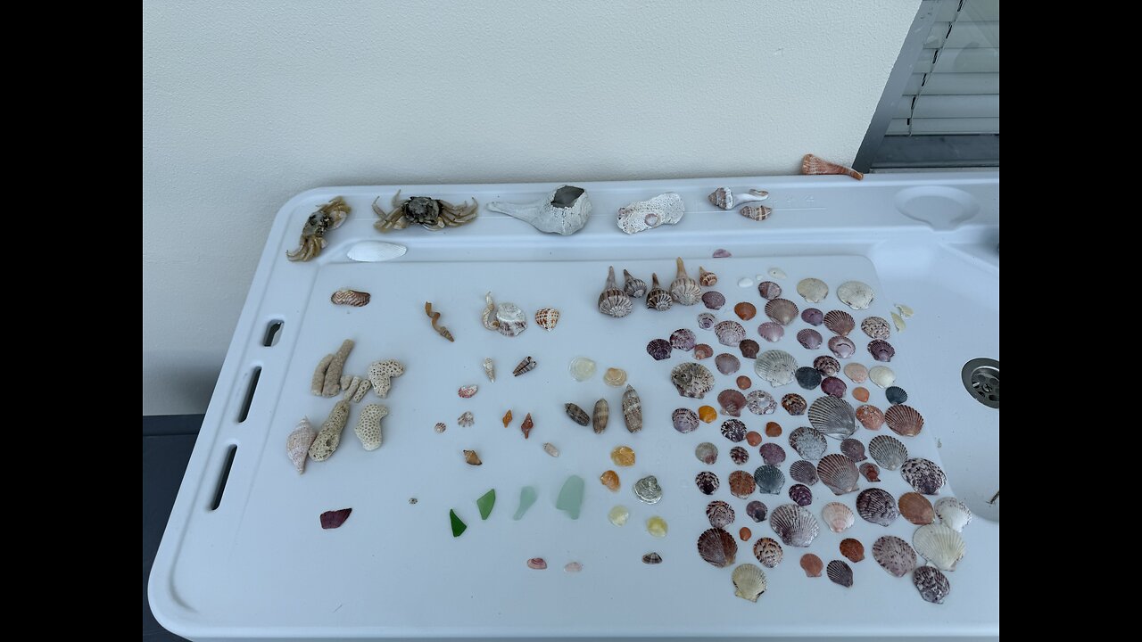 Beach Finds 6/13/2025 | 4K