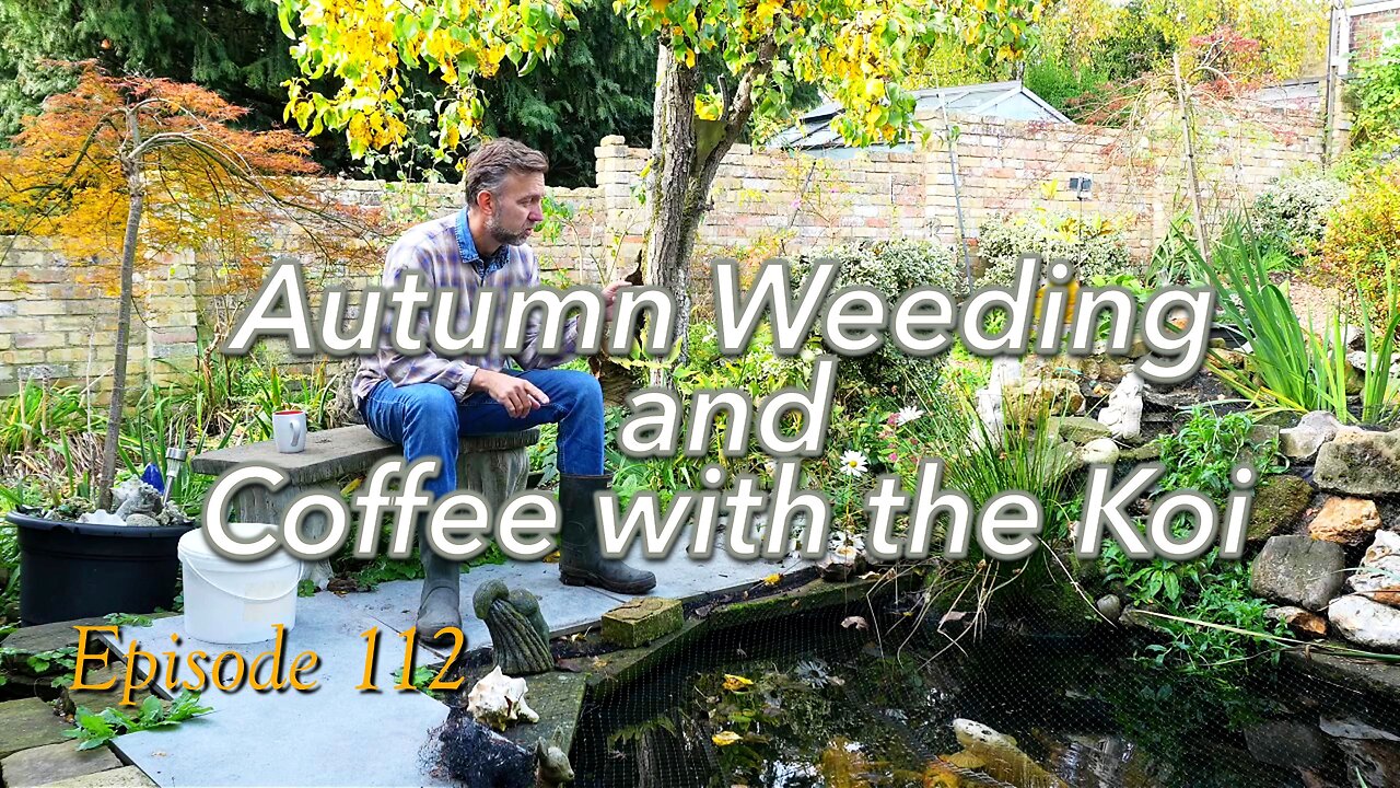 What a mess! Lets sort out the front garden